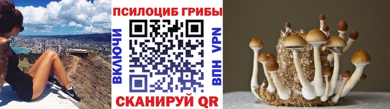 Галлюциногенные грибы GOLDEN TEACHER Александровск-Сахалинский